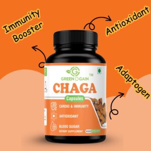 chaga mushrooms