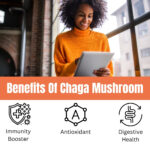 benefits of mushroom