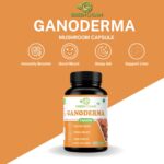 Ganoderma capsule