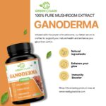 Ganoderma capsule
