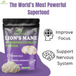 lion's mane mushroom powder