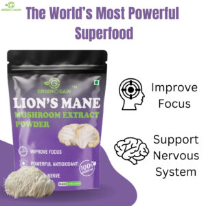lion's mane mushroom powder