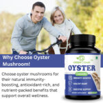 oyster mushroom