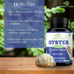 oyster mushroom