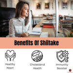 shiitake mushroom benefit