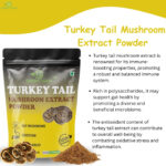 mushroom powder