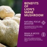 mushroom coffee,