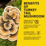 mushroom coffee
